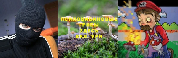 амф Балахна