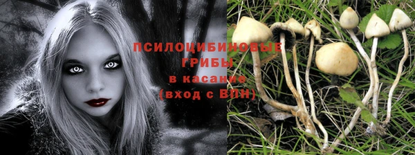 тгк Армянск