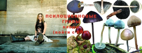 мяу мяу мука Балабаново
