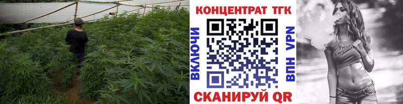 наркота  Билибино  Дистиллят ТГК THC oil 