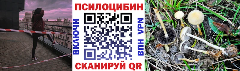 Псилоцибиновые грибы MAGIC MUSHROOMS  купить   Билибино 